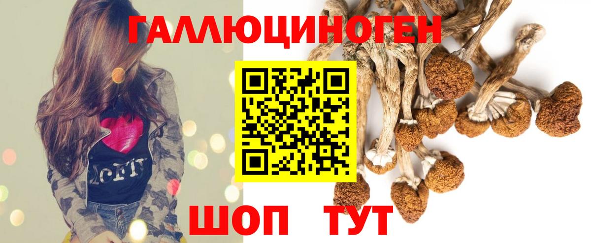 Псилоцибиновые грибы мухоморы Лесосибирск